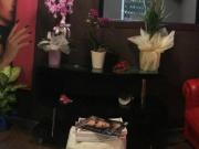 Immobile in vendita a Livorno LI