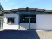 Immobile in affitto a Massa MS Immobile in affitto a Massa MS