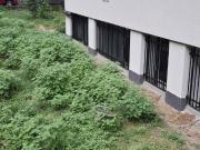 Immobile in vendita a Milano MI