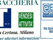 Immobile in vendita a Milano MI