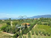 Attività / Licenza in vendita a Montecarlo LU