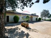 Immobile in vendita a Mottola TA