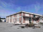 Immobile in vendita a Nogara VR