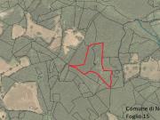 Immobile in vendita a Novafeltria RN