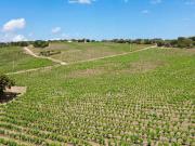 Immobile in vendita a Olbia SS