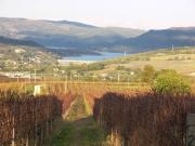 Immobile in vendita a Orvieto TR