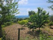 Immobile in vendita a Penna in Teverina TR