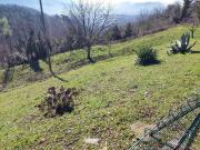 Immobile in vendita a Pistoia PT