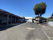 Immobile in vendita a Pomezia RM