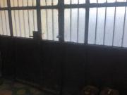 Immobile in vendita a Prato PO