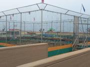 Immobile in vendita a Rimini RN