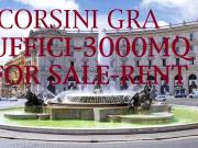 Immobile in vendita a Roma RM