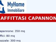 Immobile in affitto a San Bonifacio VR