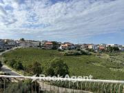 Immobile in vendita a Tollo CH