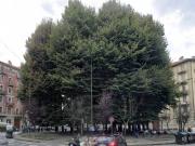 Immobile in vendita a Torino TO