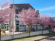 Attività / Licenza in vendita a Val Liona VI