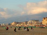 Immobile in vendita a Viareggio LU