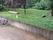 Immobile in vendita a Vicenza VI