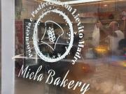 Attività / Licenza in vendita a Vidigulfo PV