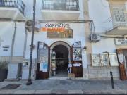 Immobile in vendita a Vieste FG