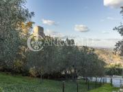 Immobile indipendente da ristrutturare di circa 300 mq...