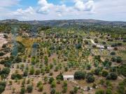 Immobile residenziale in vendita a Noto