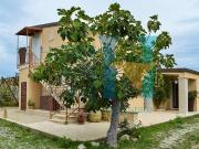 Immobile residenziale in vendita a Noto