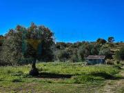 Immobile residenziale in vendita a Noto