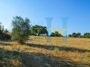 Immobile residenziale in vendita a Noto