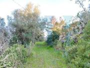 Immobile residenziale in vendita a Noto