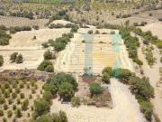 Immobile residenziale in vendita a Noto