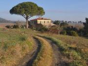 Immobile residenziale in vendita a Rosignano Marittimo