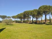 Immobile residenziale in vendita a Rosignano Marittimo
