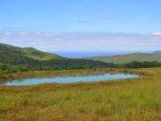 Immobile residenziale in vendita a Rosignano Marittimo