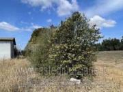 IMMOBILI ALTRA CATEGORIA 09026 san sperate su, italia