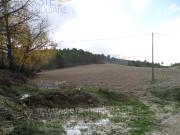 IMMOBILI ALTRA CATEGORIA 95040 licodia eubea ct, italia