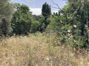 IMMOBILI ALTRA CATEGORIA C/da bruscè s.n