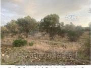 IMMOBILI ALTRA CATEGORIA Contrada chiodi, nardò le, italia