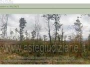 IMMOBILI ALTRA CATEGORIA Contrada tempone del castello