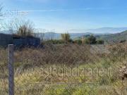 IMMOBILI ALTRA CATEGORIA Contrada vallecupa