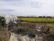 IMMOBILI ALTRA CATEGORIA Localit case parrilli