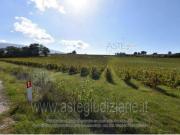 IMMOBILI ALTRA CATEGORIA Localit polzella, 06036...