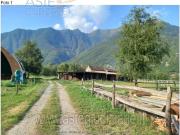 IMMOBILI ALTRA CATEGORIA Localit pradoni