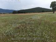 IMMOBILI ALTRA CATEGORIA Sp478, 06046 san pellegrino pg,...