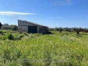 IMMOBILI ALTRA CATEGORIA Via adua, 91100 misiliscemi tp,...