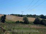 IMMOBILI ALTRA CATEGORIA Via del pratalozzo, 51017...