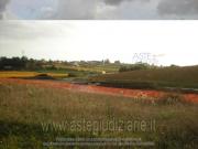 IMMOBILI ALTRA CATEGORIA Via vigne nuove a confine con...