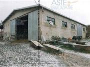 IMMOBILI IMMOBILE INDUSTRIALE Localit cima di valle spada