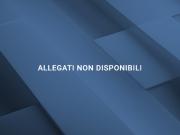 IMMOBILI IMMOBILE RESIDENZIALE Via rio solanas, 8, 09045...