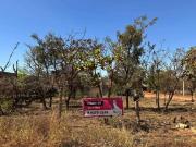 Imobiliária Setor Habitacional Jardim Botânico Lote em...